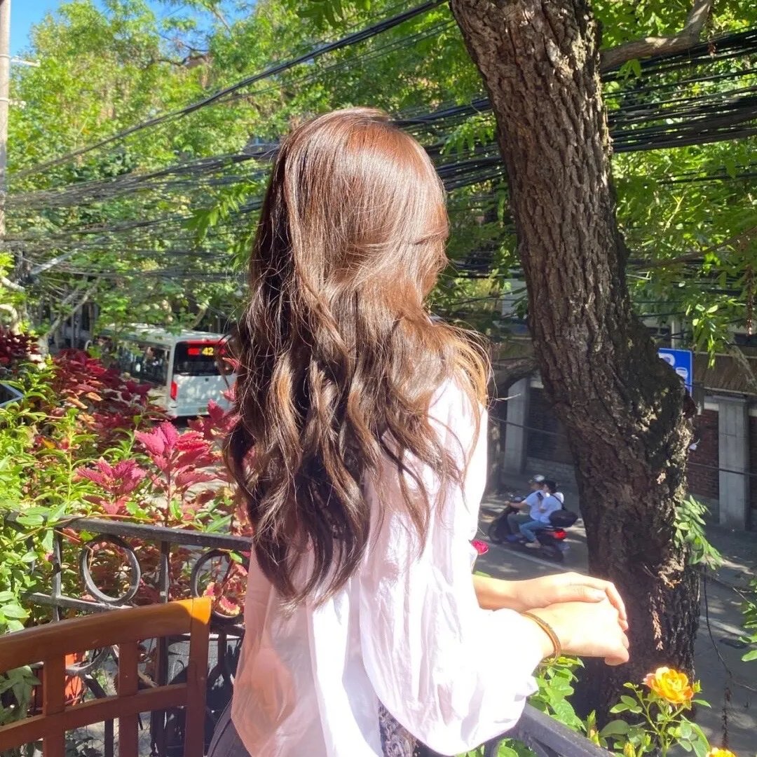 啤酒花